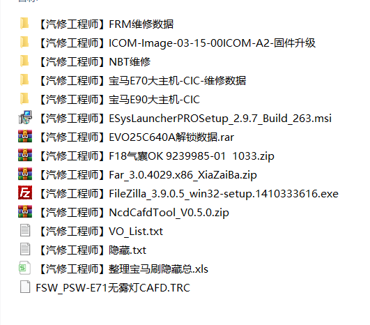 📂宝马BMW | 编程数据 黑石版:宝马工程师内部培训教程 书本配套数据 E系刷隐藏代码 维修数据(8G)