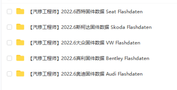 📂大众奥迪 | 固件数据 2017.04大众奥迪斯柯达兰博宾利工程师离线数据FlashDaten 汽车电脑模块数据sgo frf(22G)