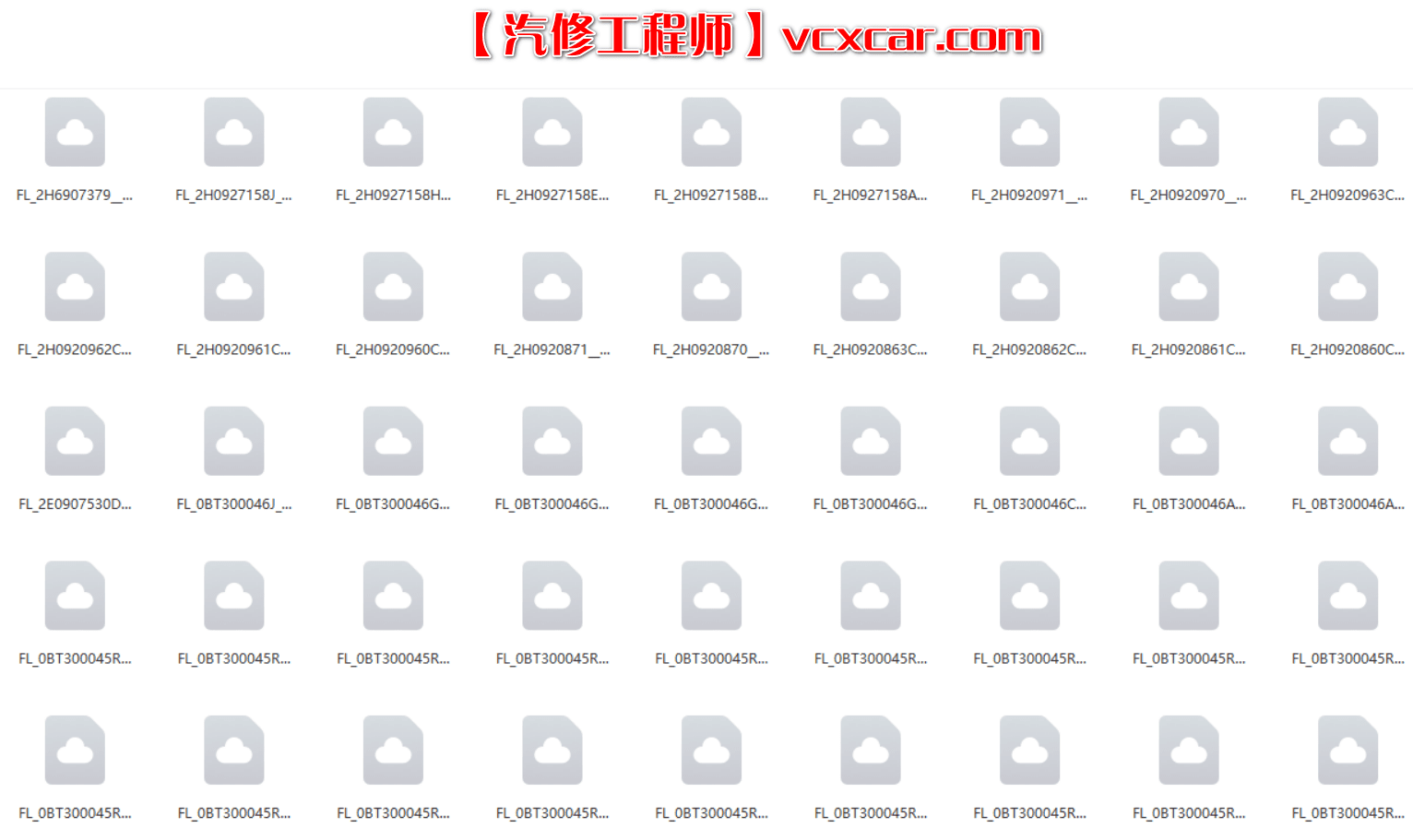 📂大众奥迪 | 固件数据 2017.04大众奥迪斯柯达兰博宾利工程师离线数据FlashDaten 汽车电脑模块数据sgo frf(22G)