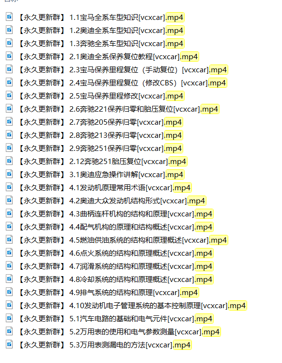 🎓[SVIP·积分课程] 宝马 | BMW 专检系统诊断系统ISTA使用 电路图识读 14节课 (1.24G)