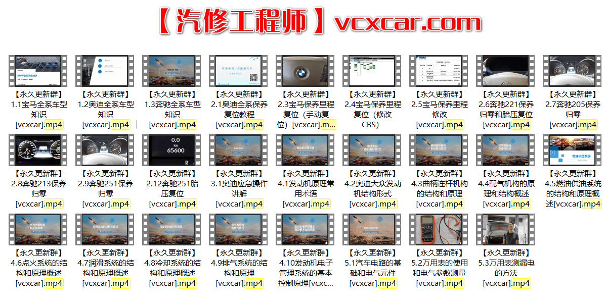 🎓[SVIP·积分课程] 宝马 | BMW 专检系统诊断系统ISTA使用 电路图识读 14节课 (1.24G)