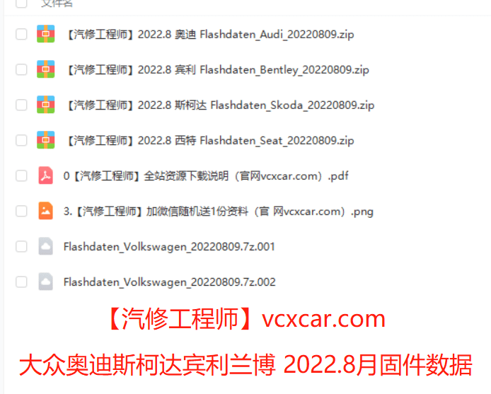 📂大众奥迪 | Flashdaten 2022.08大众奥迪斯柯达兰博宾利工程师离线数据 汽车电脑模块数据(VW Audi Skoda Seat)sgo frf (90G)