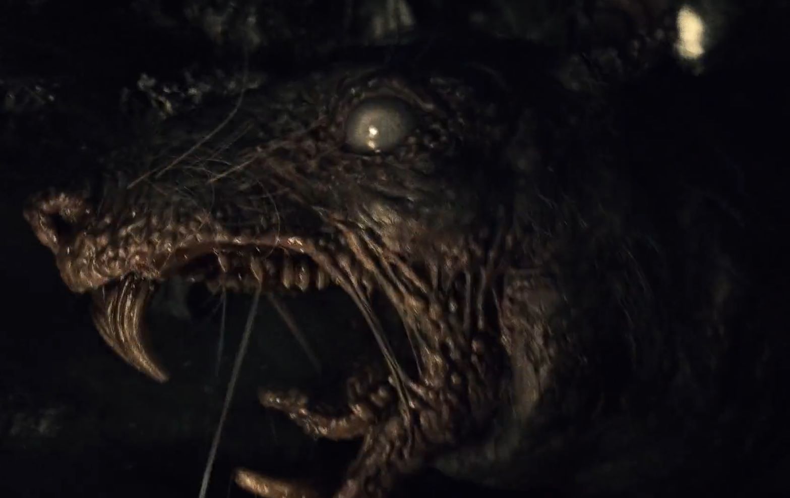 影视频道 | 2022年最新【吉尔莫·德尔·托罗的奇思妙想】01~08集 (最牛天才导演, 恐怖剧集, 胆小勿看)(5.6G)