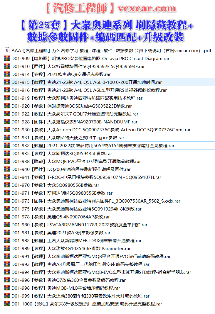 🟥[SVIP·专享] 大众奥迪 |【第25套】刷隐藏教程+数据参数固件+编码匹配+升级改装 [22款开通加速 监视器倾斜仪 全车扫描 5054/6154刷刹车贯穿尾灯 新能源MEB倒车影像 MQB-EVO旅游辅助编码 离线开通SFD 折叠模块 5Q0参数 保时捷功放 矩阵大灯 天使之翼](32份)