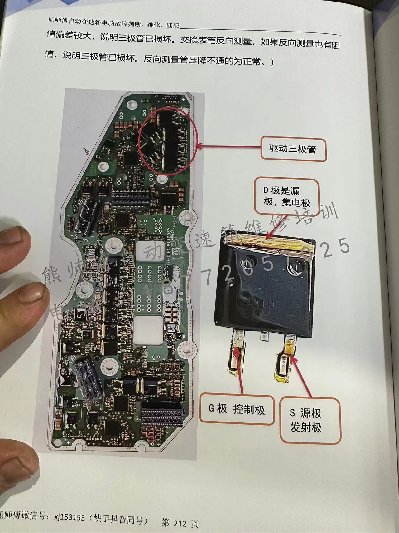📂变速箱 | 教程 XSF 自动变速箱 电脑故障判断+维修+匹配 德系美系日系国产+福特福克斯DPS6 变速箱资料 (228页)