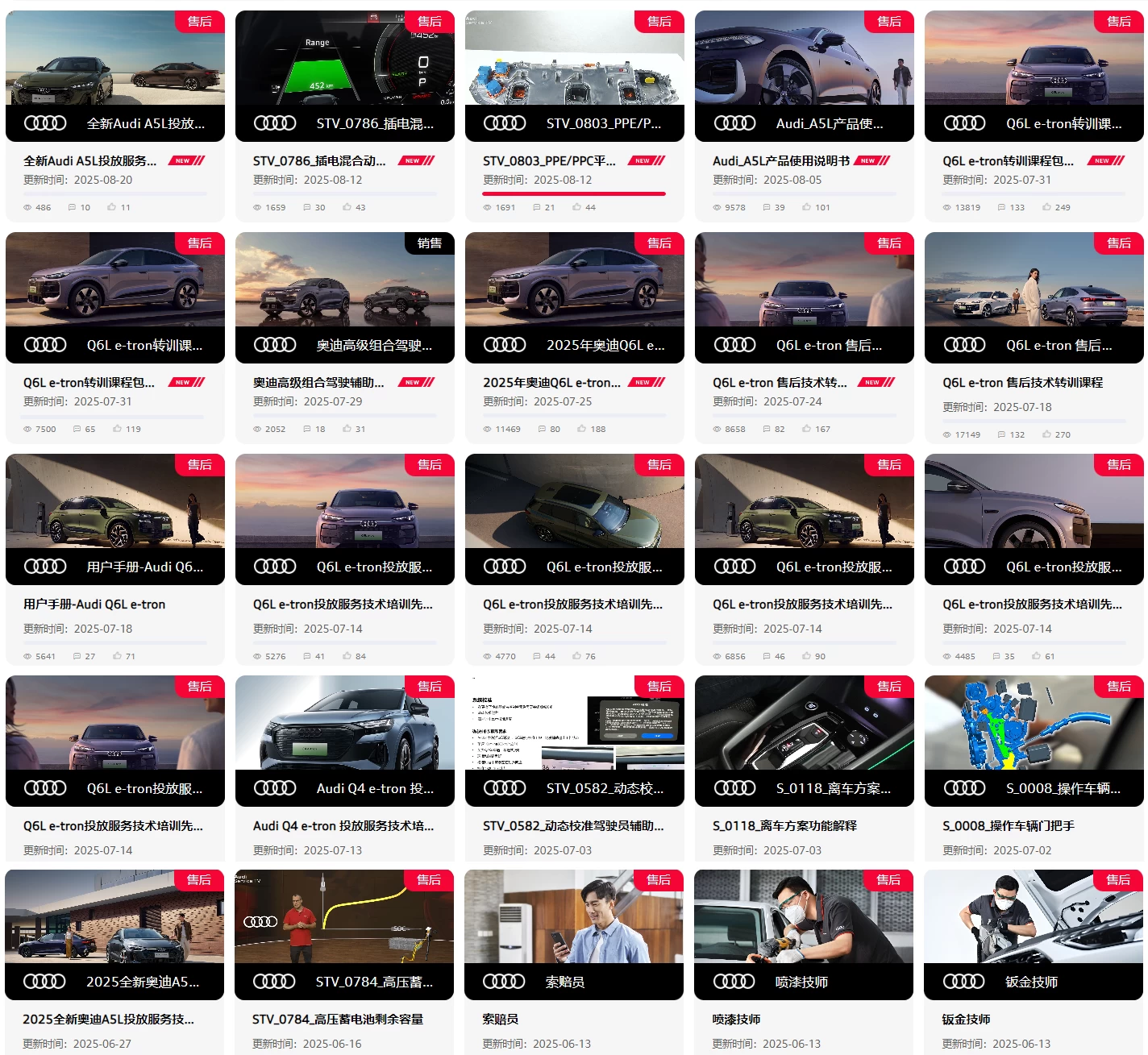 🔥🈴【刺 · 第5季】2025.9.1〔奥迪Audi〕〔原厂内部〕〔核心技术〕〔全部培训课程〕满300人开