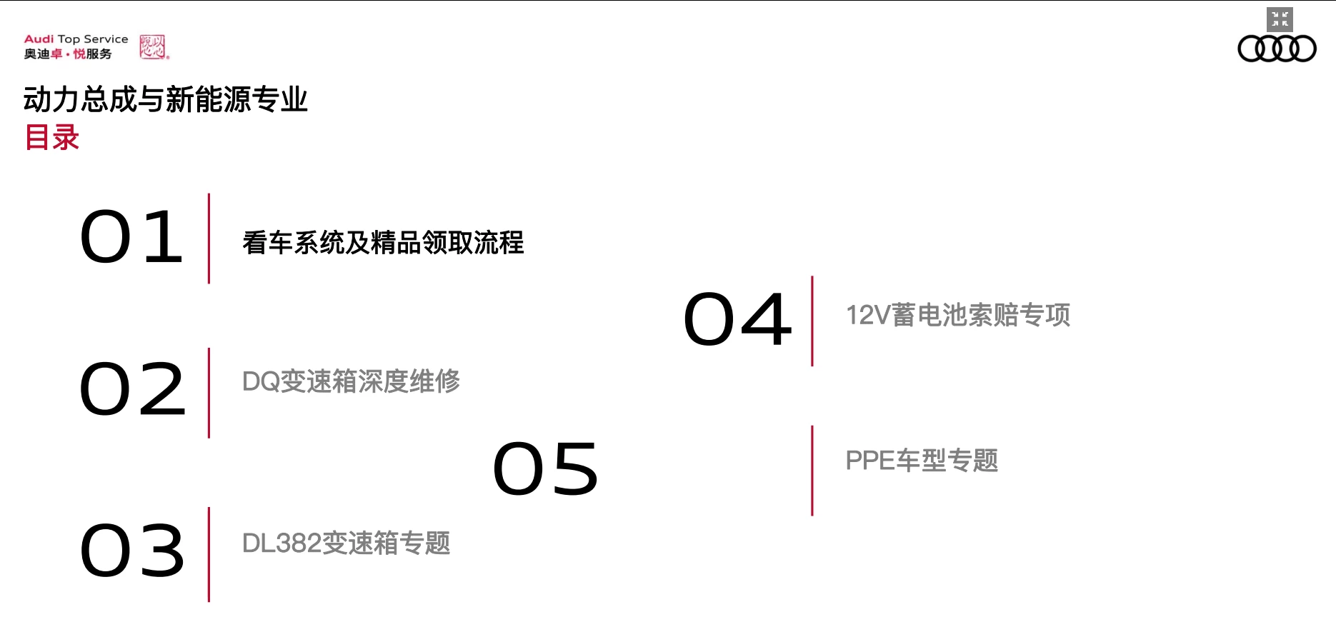 📂奥迪Audi | 原厂SOST 内部技术培训—2026年第1期：电器 变速箱 发动机 底盘 新能源 驾驶辅助 故障查询