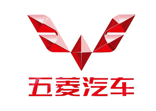 📂五菱宝骏 | 专检 诊断编程 VDS_V1.01.77 离线激活版 五菱宏光荣光之光 RC RM RS(普通会员免费激活1次)