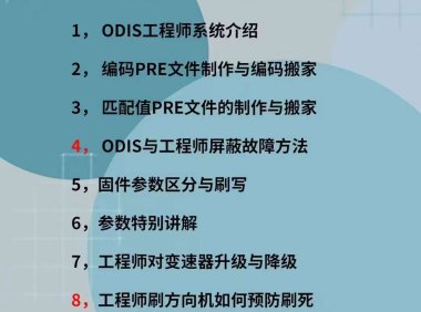 📂大众奥迪 | 工程师教程 2023年 ODIS-E故障屏蔽 固件参数刷写 工程师新教程（10集）