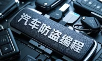 ✅[Free.免费] 2019.7 汽车防盗原理与编程技术_308页（46.6M）[防盗基础 数据修改 系统原理 匹配编程]